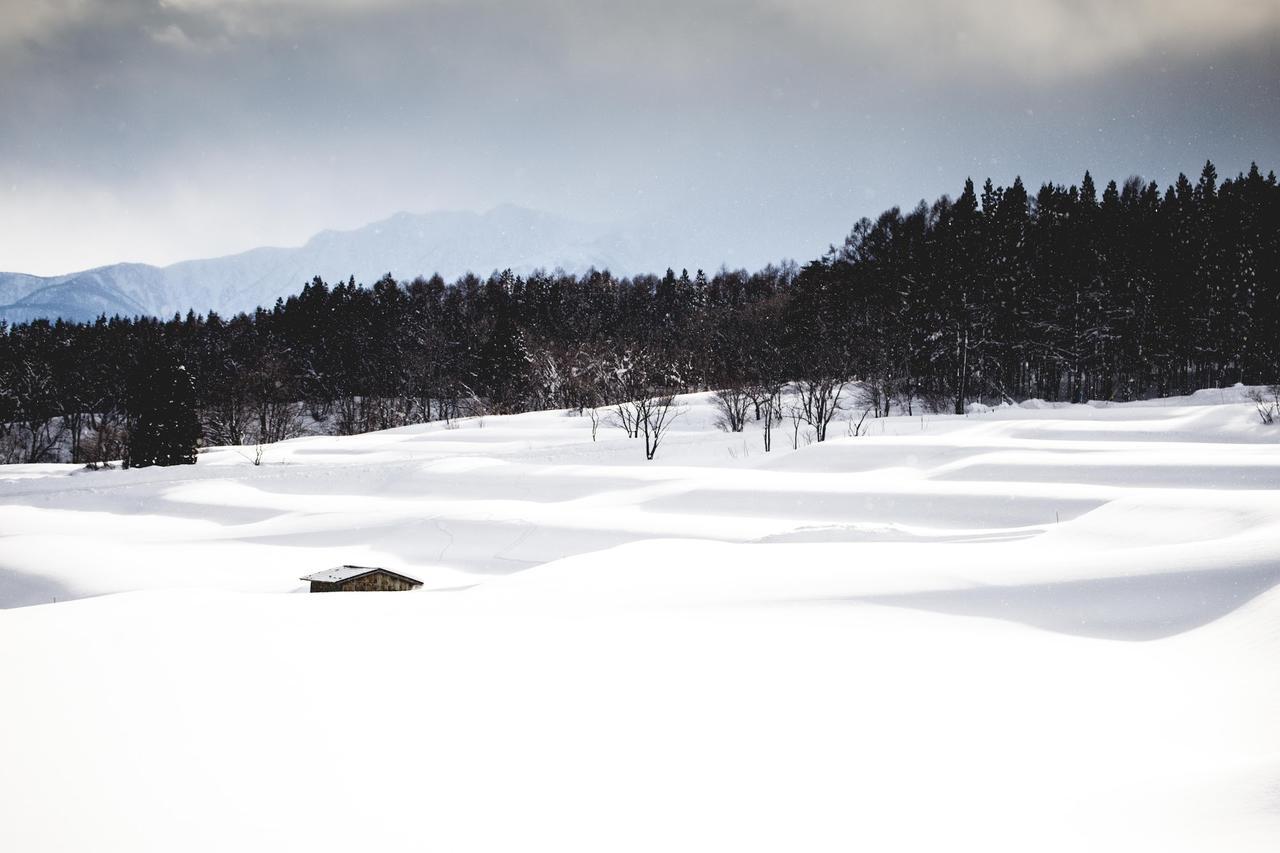 Hakuba Cortina Lodge Otari Esterno foto